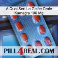 À Quoi Sert La Gelée Orale Kamagra 100 Mg 06